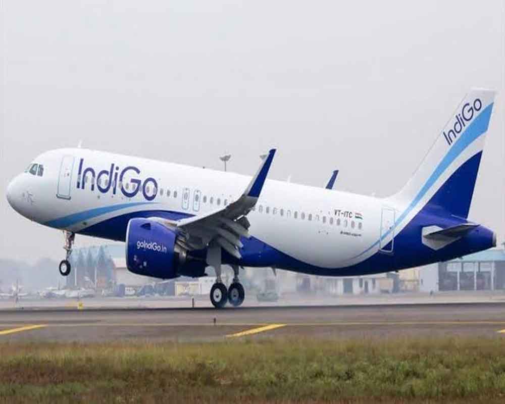 Indigo Server Collapses Long Queues At Airports