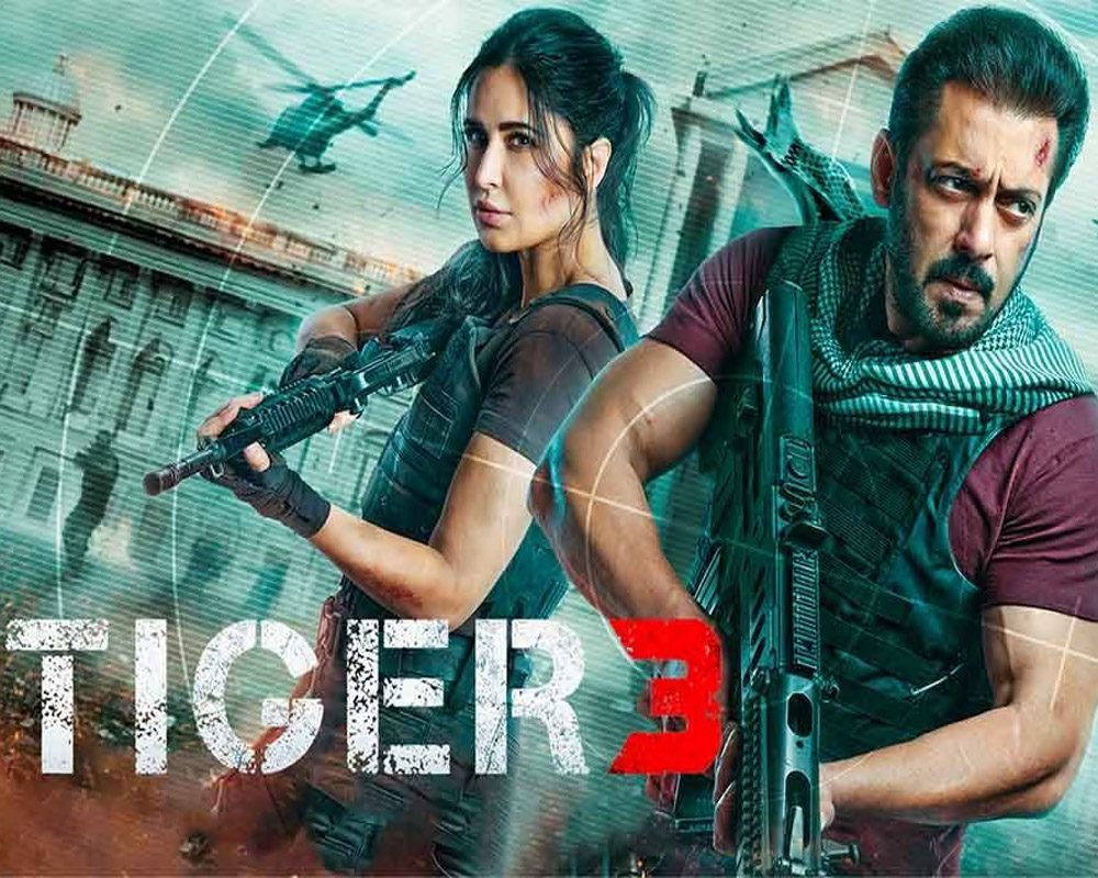 Traitor Or Patriot Salman Khan Sends A Message To India In Tiger