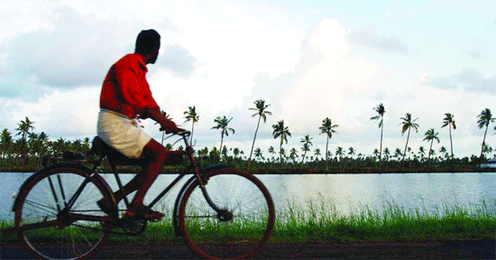 Monsoon weak: Kerala may face farm, power crisis