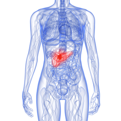 New target for treating pancreatic cancer