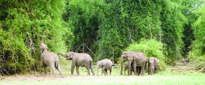 'Chilli' winds set to drive jumbos away