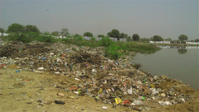 NGT orders waste disposal, treatment in Vrindavan