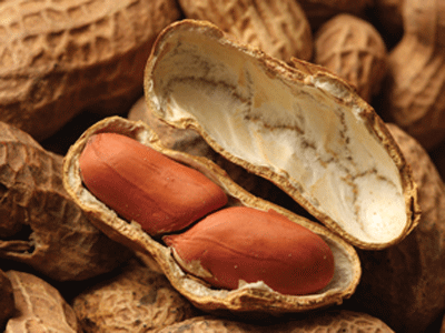 New ultrasensitive blood test for peanut allergy