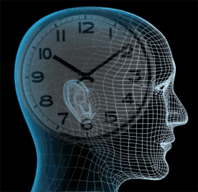 Resetting the Brain's Clock