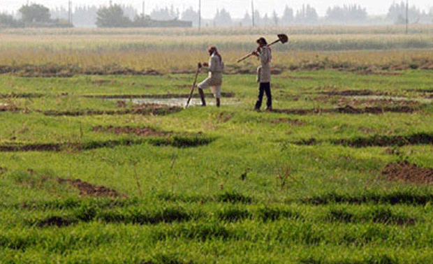 land ordinance repromulgated 3rd time despite opp protest