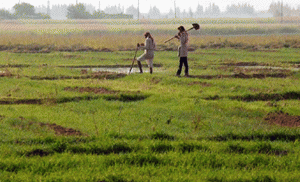 land ordinance repromulgated 3rd time despite opp protest