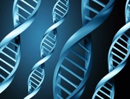 Genes linked to stroke risk identified