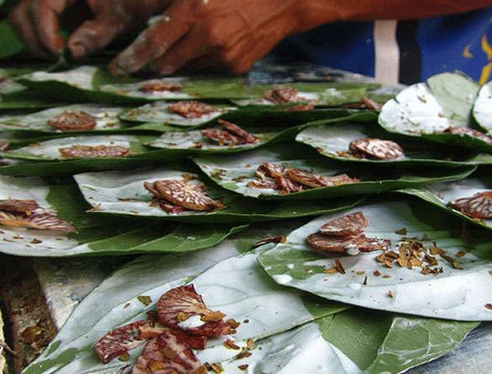 Myanmar to ban betel nut chewing in public