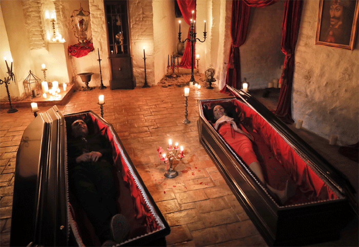 Canadian siblings to spend night in Dracula's castle