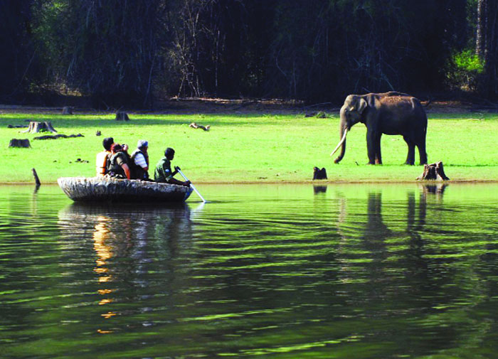 Promoting eco-tourism as revenue generator