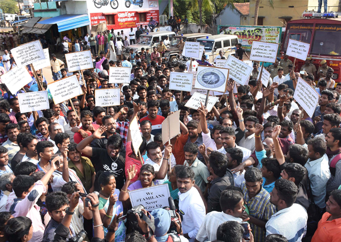 Pro-jallikattu protesters continue stir