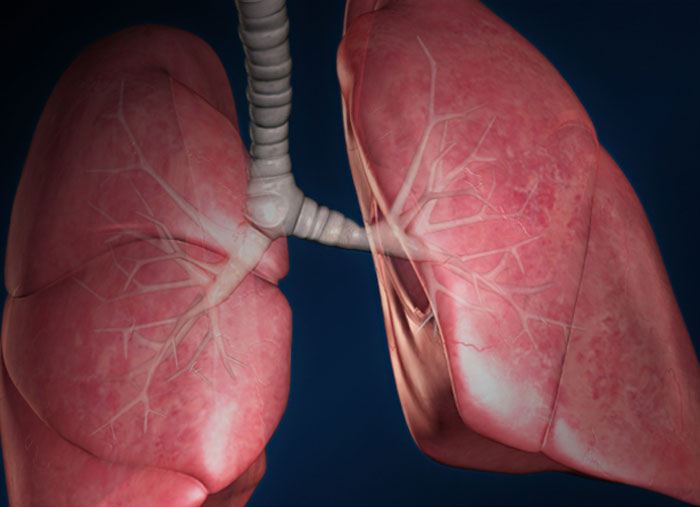 Zinc supply to lung cells linked to respiratory diseases