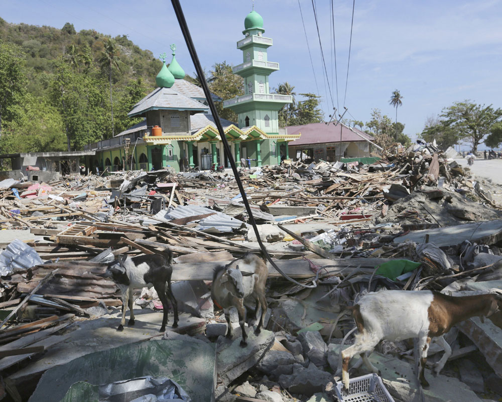 Fears grow that more than 1,000 still missing in Indonesia disaster