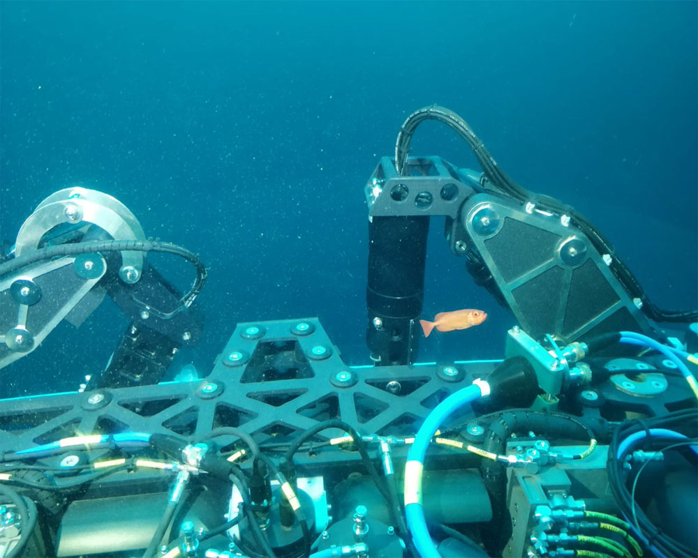 Indian Navy acquires deep submarine rescue capabilities