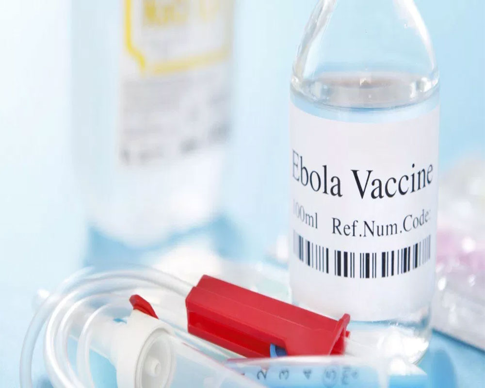 Novel DNA vaccine against Ebola virus safe, effective