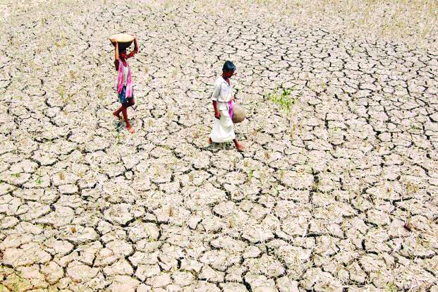 Rain aplenty but 253 dists face drought