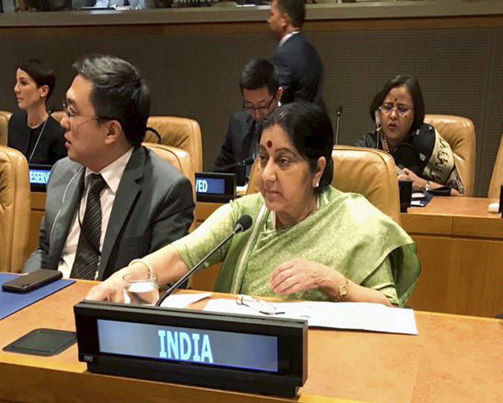 Terrorism single largest threat to peace in S Asia: India to SAARC