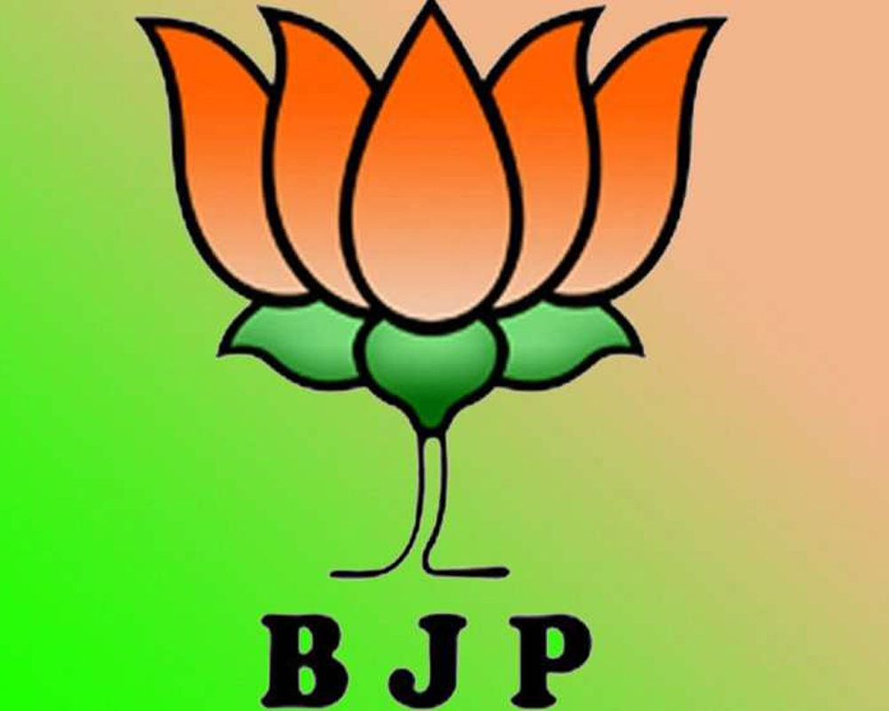 BJP website down after alleged hacking attempt