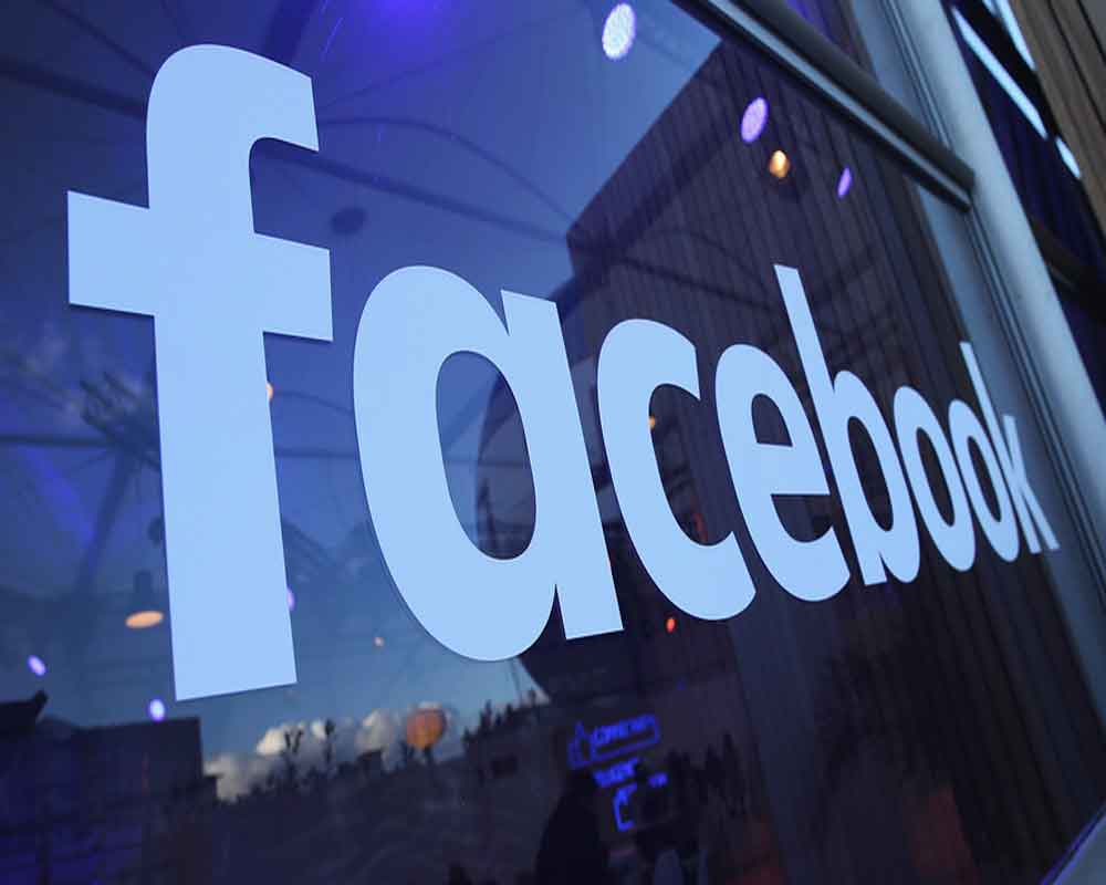 Facebook, Twitter remove hundreds of malicious accounts