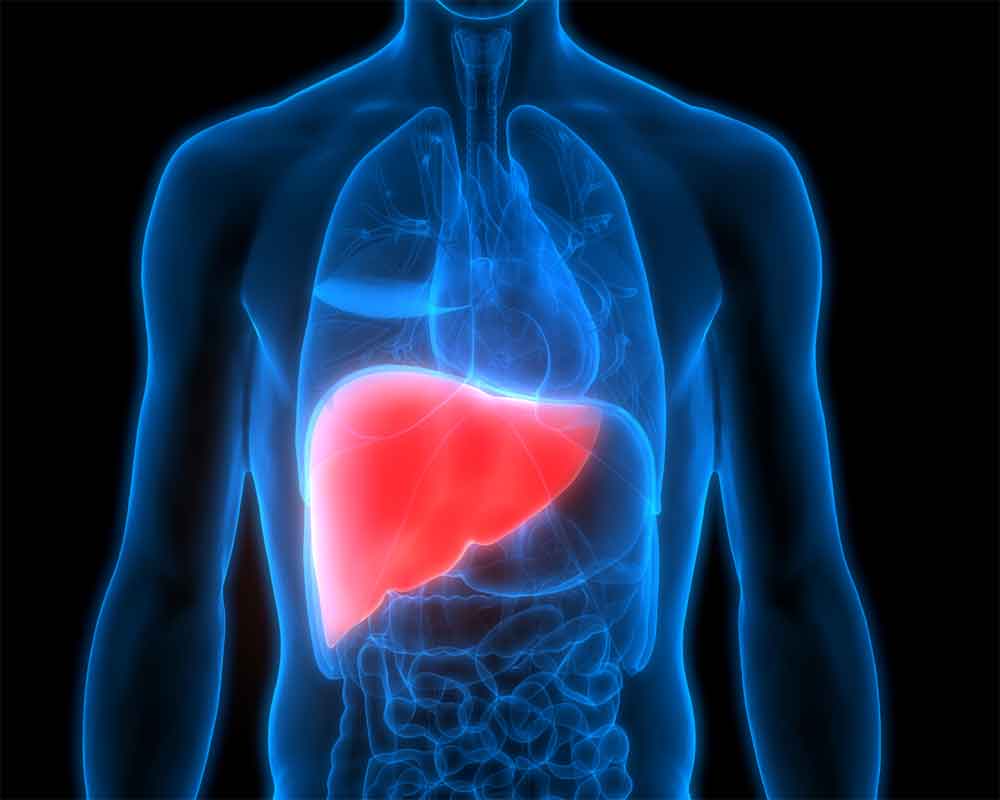 hypertension-drug-shows-promise-in-liver-disease