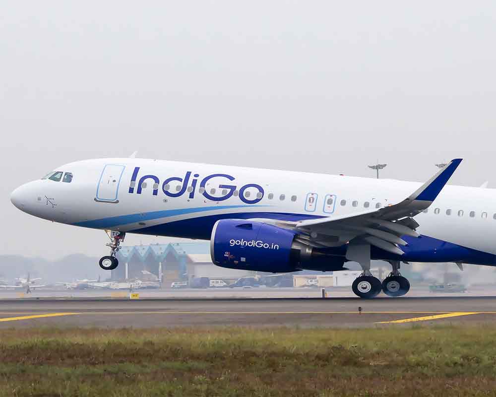 IndiGo Q4 profit jumps 5-folds to Rs 589.6 cr