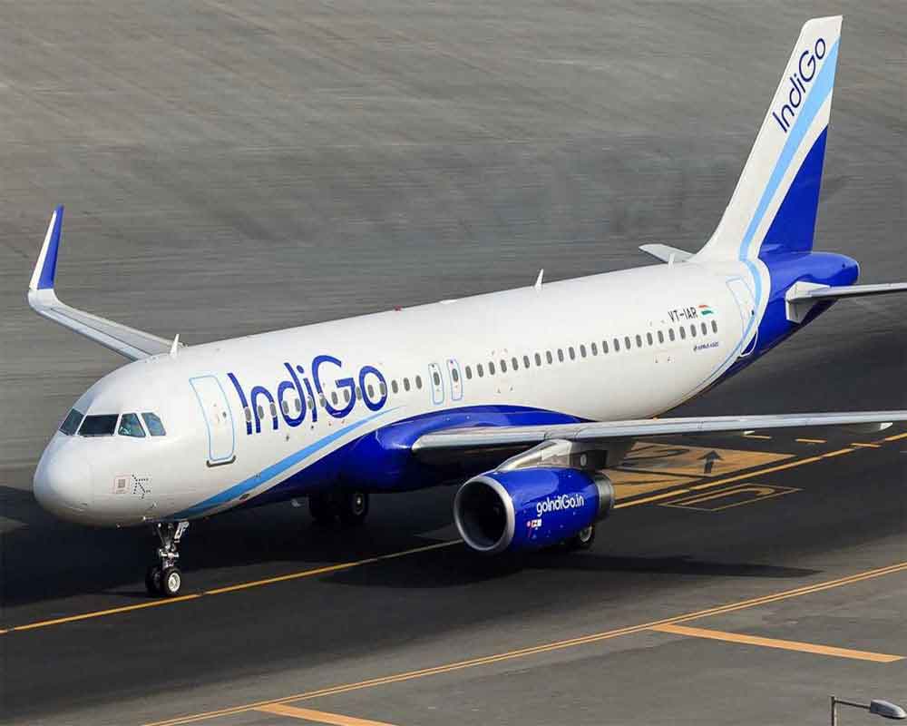 IndiGo shares tumble 12 pc; m-cap drops by Rs 7,633 cr after Q2 earnings