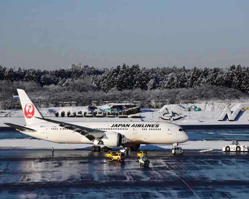 Plane skids off runway, closing parts of Tokyo's Narita
