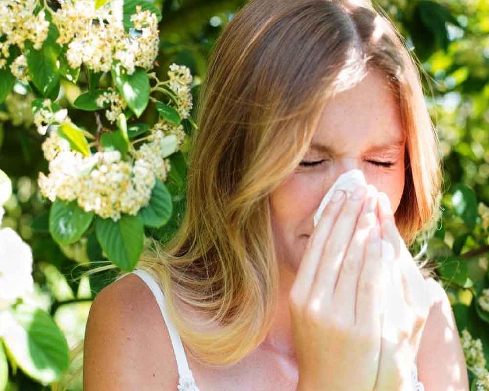 Pollen in air may help predict asthma, hay fever risk: Study