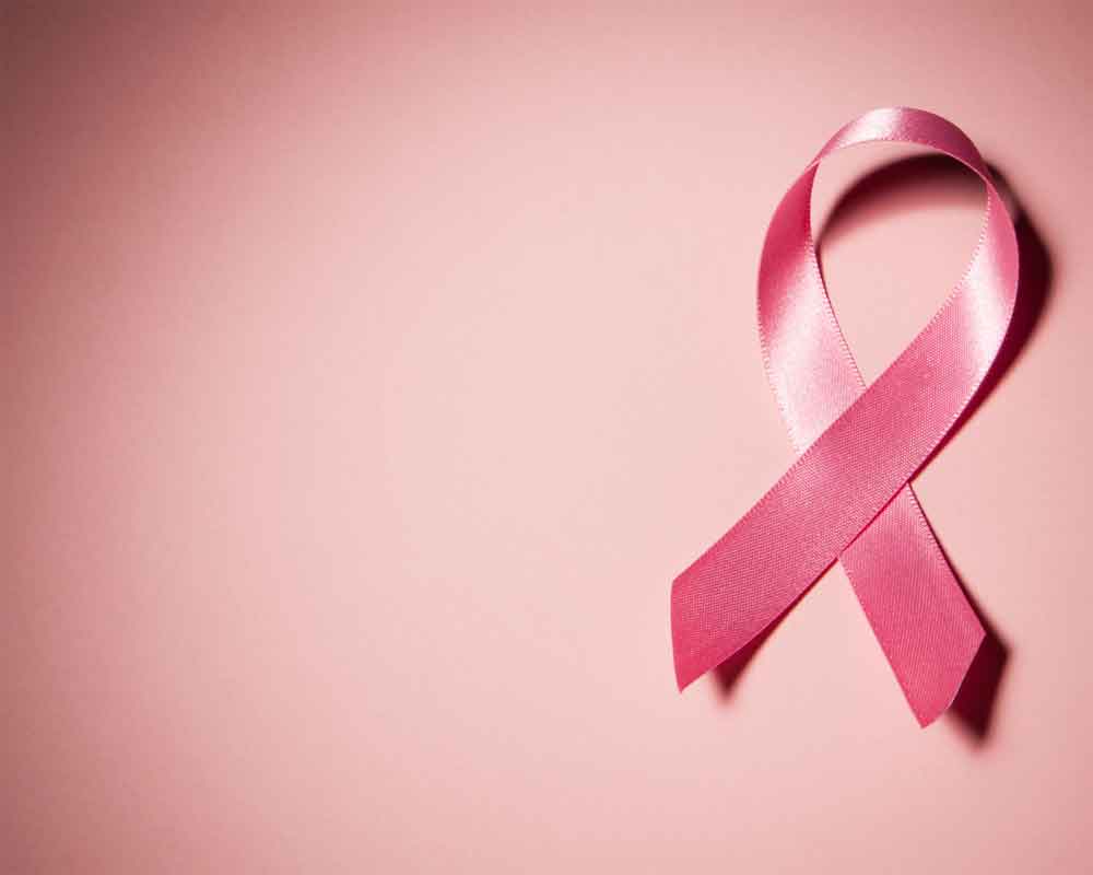 Unhealthy Gut Promotes Breast Cancer Spread Study