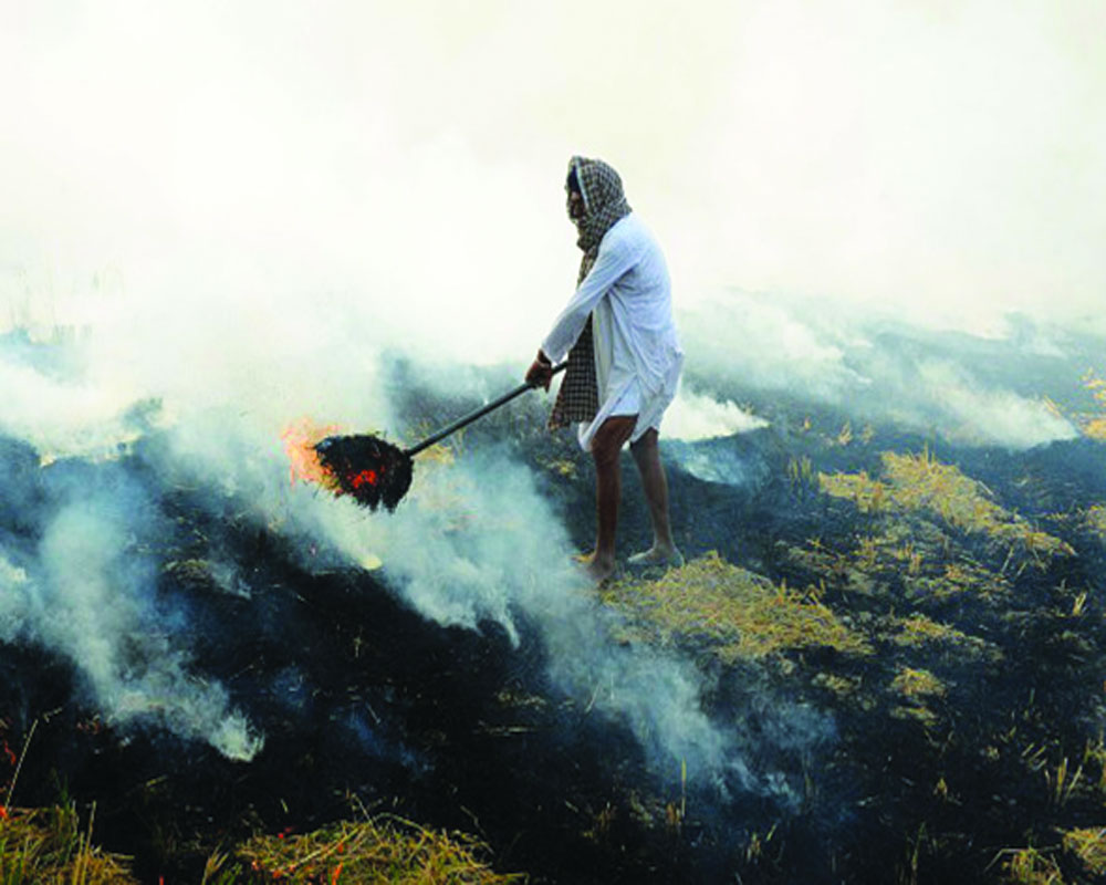 Farm fire rages in neighbourhood, Delhi suffers