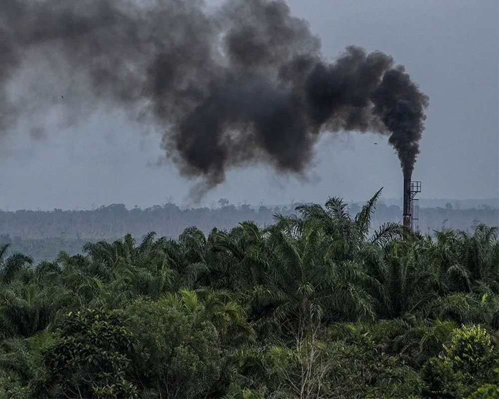 India needs to limit carbon emissions: G20 climate report