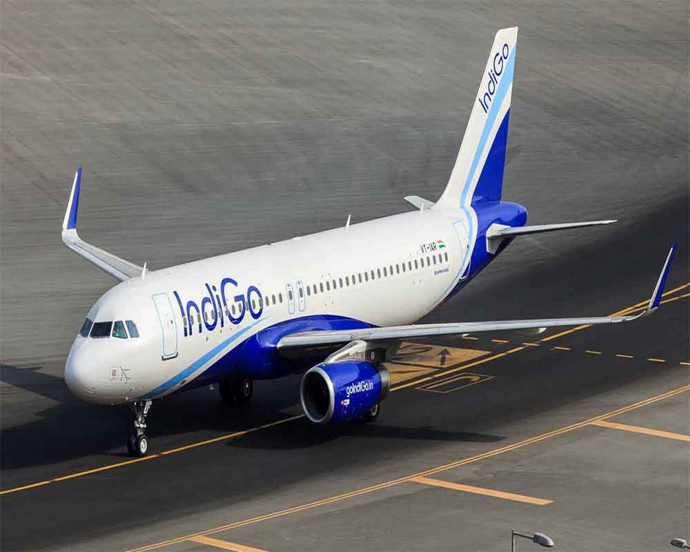 IndiGo pilot suspended for 3 months for threatening wheelchair-bound senior citizen