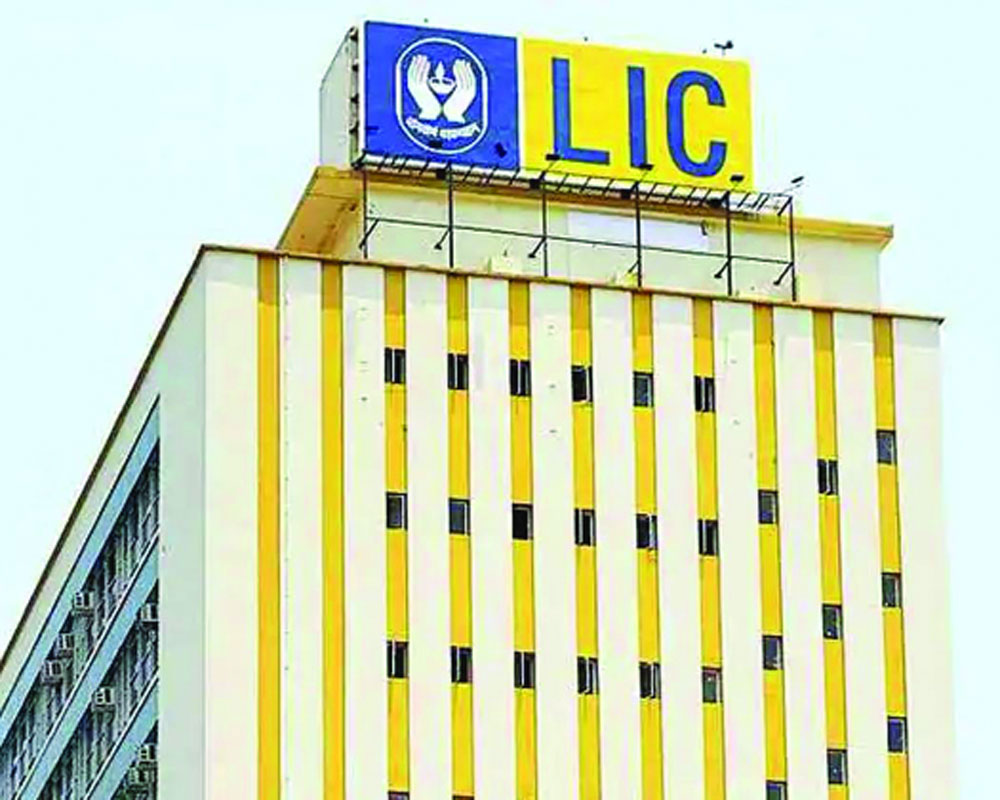 LIC expands market share as pvt insurers lose ground