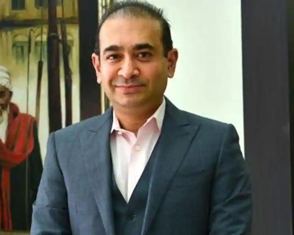 Nirav Modi's brother Nehal charged with committing $2.6 million fraud in New York