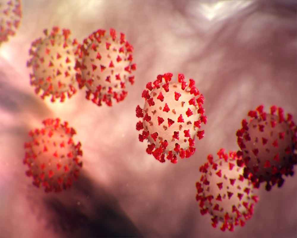 Novel coronavirus a product of natural evolution, not lab made: Study