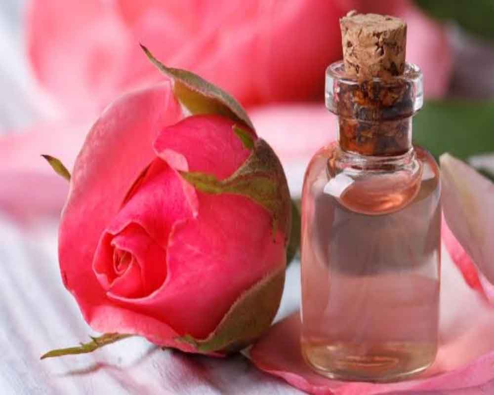 Scent of rose improves learning and sleeping