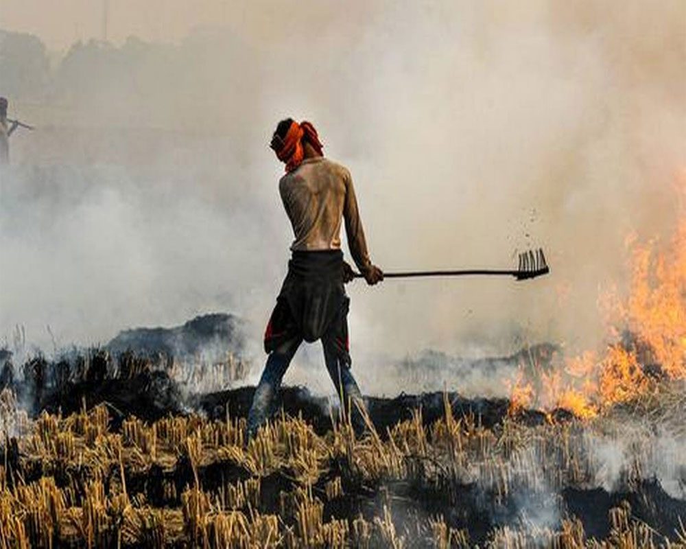 Stubble Burning Share In Delhi's Pollution Soars To 42 Pc, Season's Highest