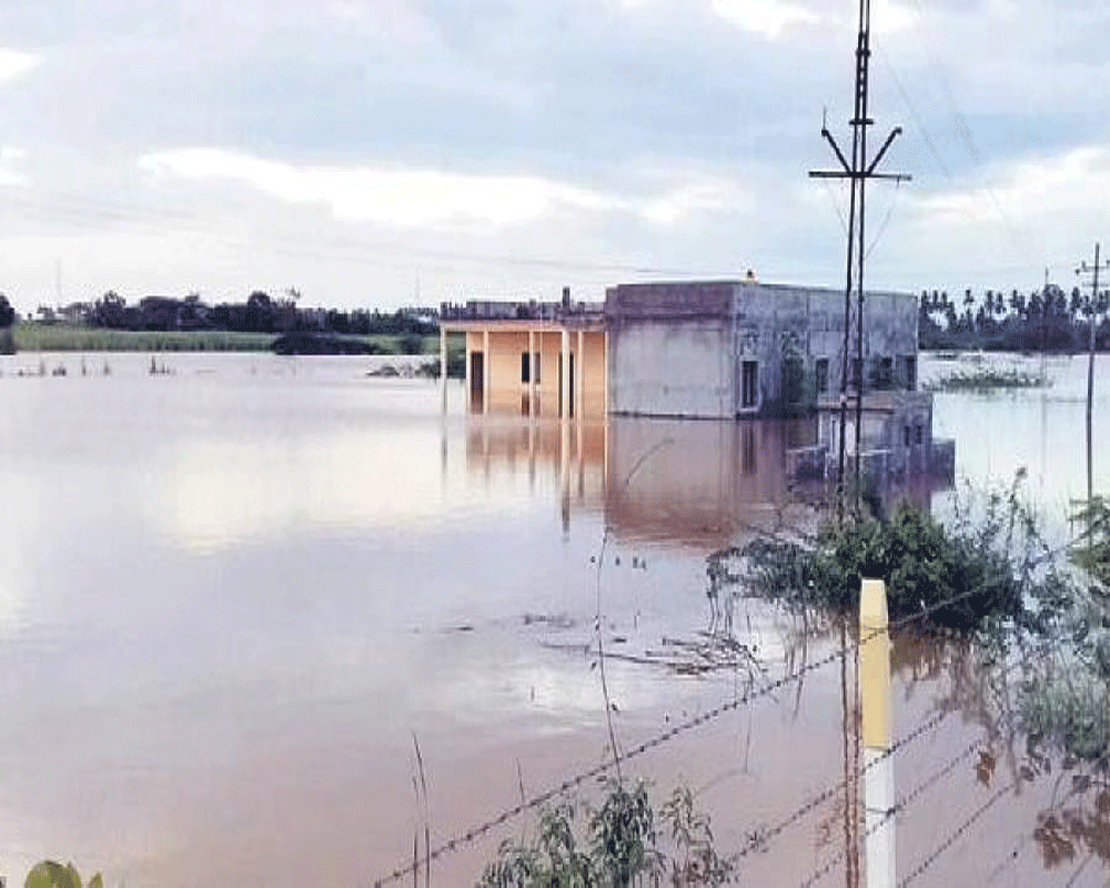 Bridge, standing crops damaged in flash floods in Ladakh