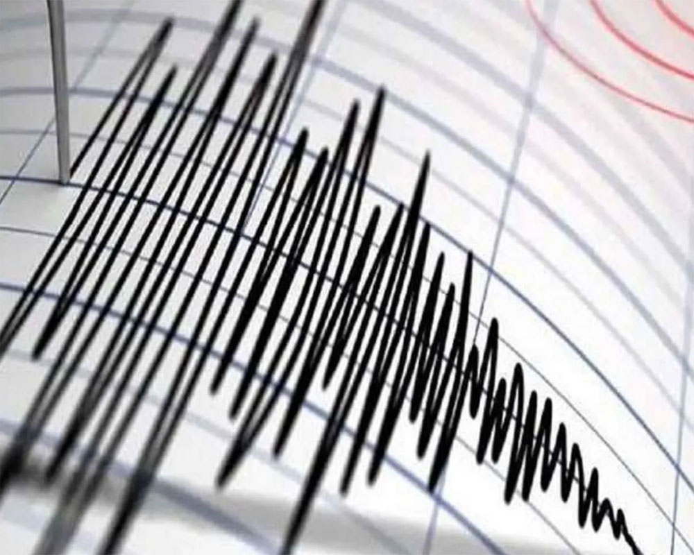 Earthquake of magnitude 4.6 hits Ladakh