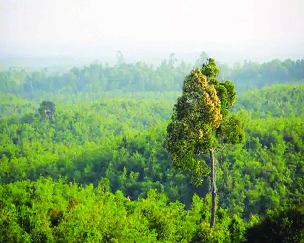 First urban wildlife corridor in Delhi-NCR