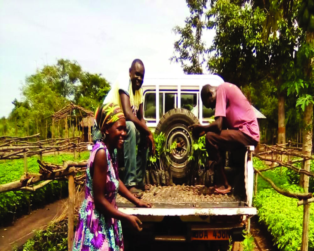 Grow-Trees.com to plant 50,000 trees in Uganda