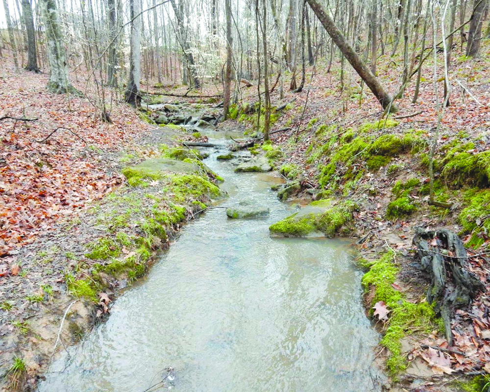 Preservation of the lotic ecosystem in India