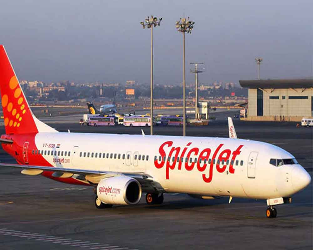 SpiceJet transports 4.1 tonnes of COVID-19 vaccine from Pune to 5 cities on Tuesday