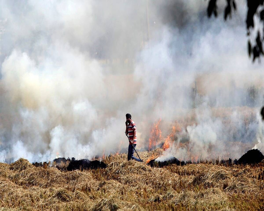 Stubble Burning Share In Delhi's Air Pollution May Go Up To 38% After ...