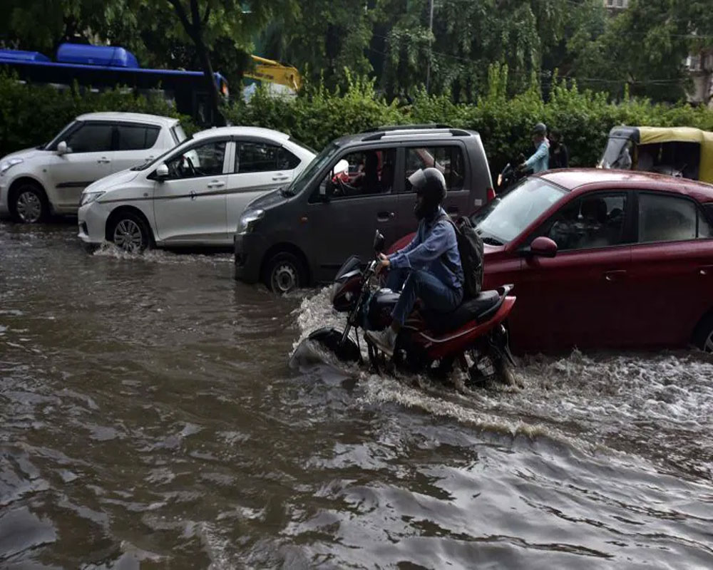 Two incidents of wall collapse, 12 tree fall cases in Delhi; low-lying areas inundated