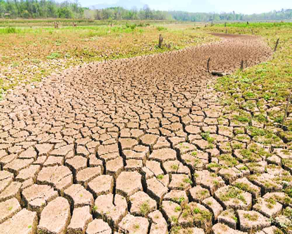 Watering the droughts with Israel