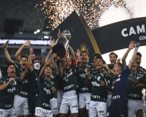 Palmeiras beats Santos to win Copa Libertadores final