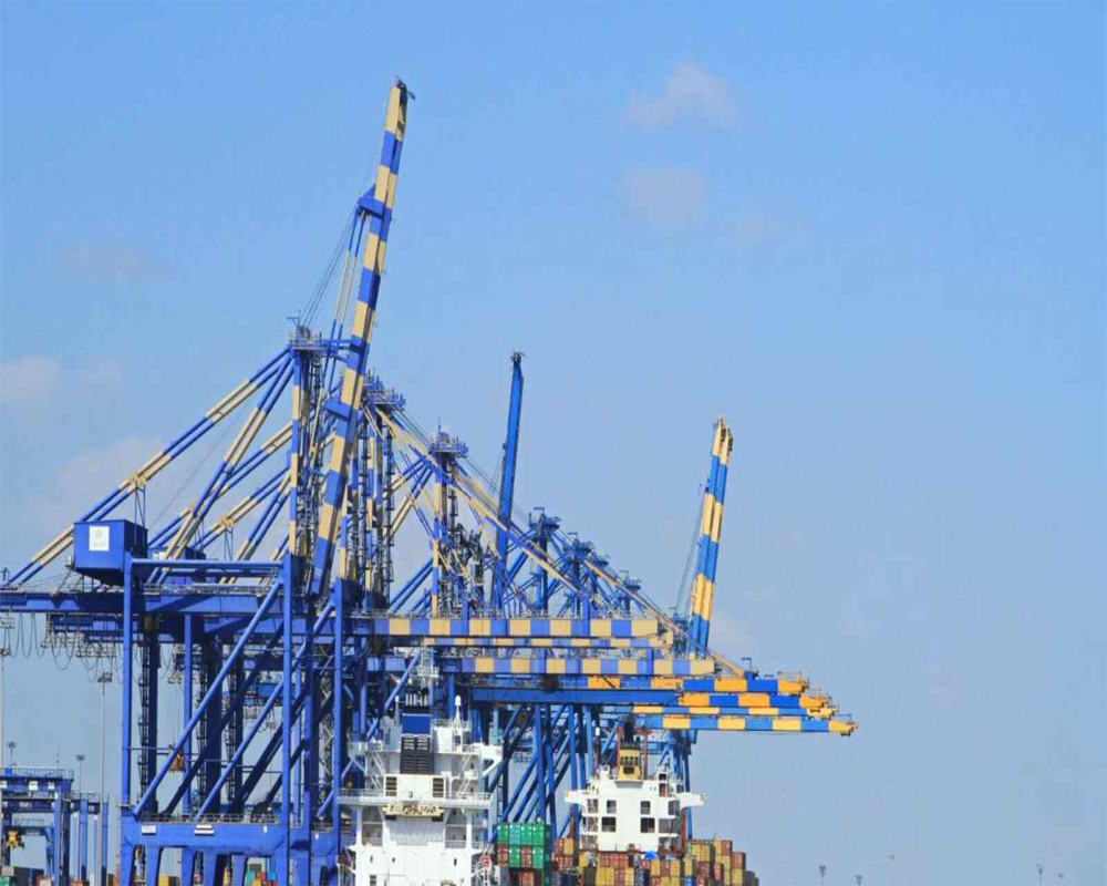 Adani Ports Cargo Volume Jumps 26% Leading To Record Revenue, EBITDA