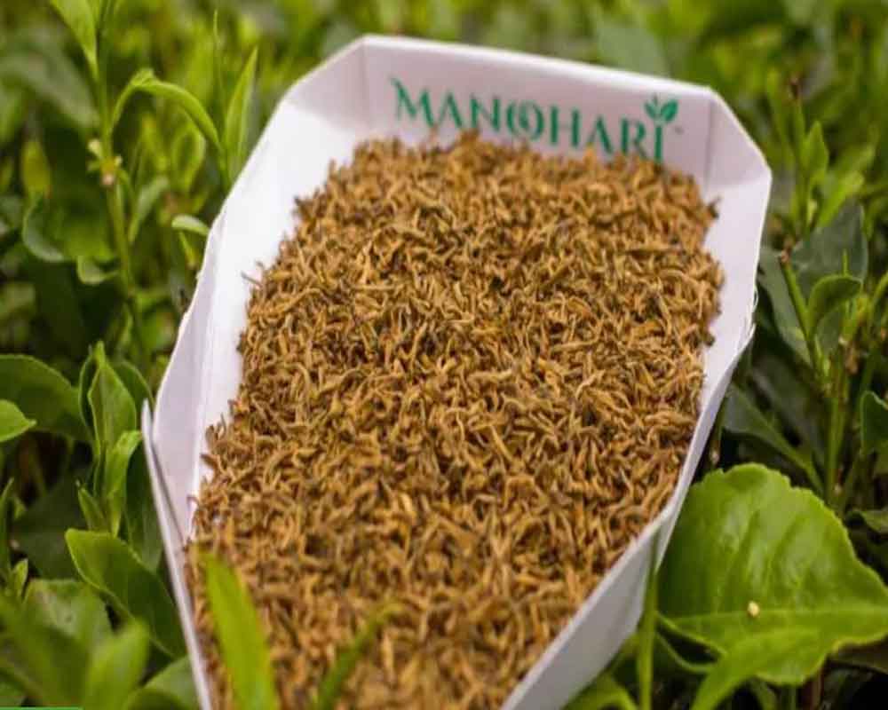 Assam's 'Manohari tea' sold at Rs 1.15L/kg