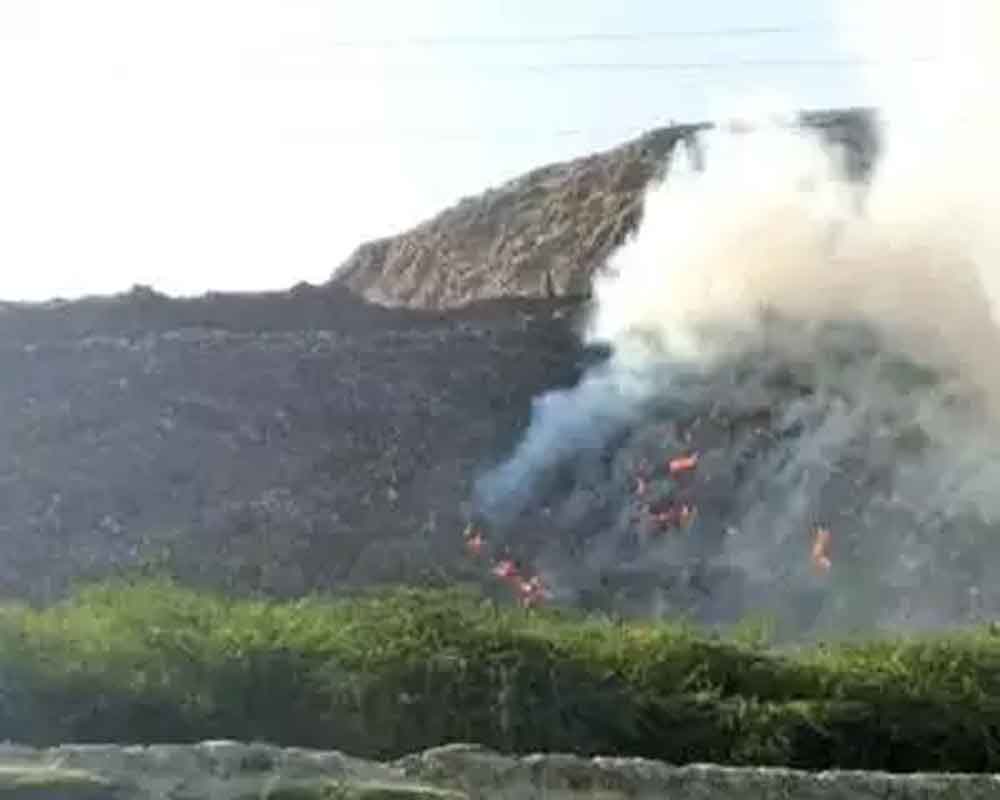 Fire at Ghazipur landfill site, no casualty: Officials